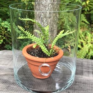 Terrain Tall Glass Open Terrarium